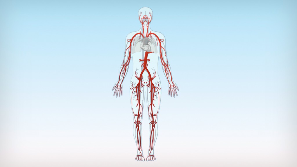 kreussler-pharma-venenlexikon-arterien